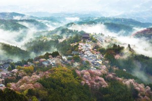asomadetodosafetos.com - 17 imagens de cerejeiras japonesas captadas pela National Geographic
