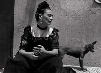 16 frases impactantes de Frida Kahlo