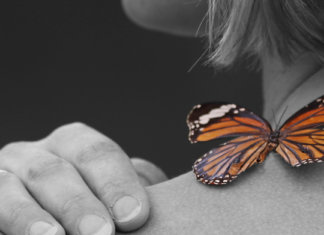 O efeito borboleta que impacta nossos problemas