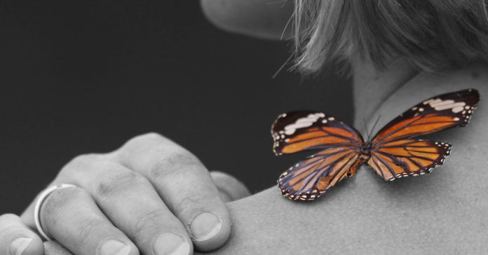 O efeito borboleta que impacta nossos problemas