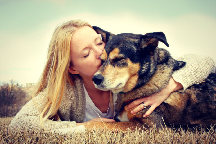 Cães Terapeutas não só tranquilizam, como podem recuperar alguns pacientes.