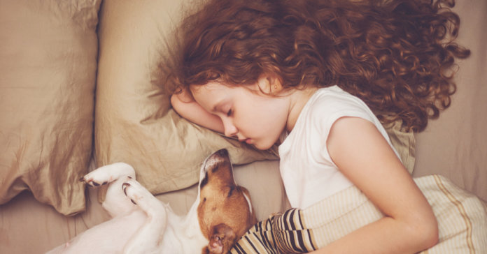 7 benefícios de compartilhar sua cama com o seu animal de estimação