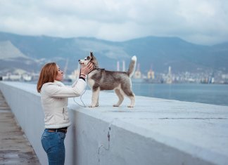 Novos estudos revelam que os humanos amam mais os cães que as pessoas