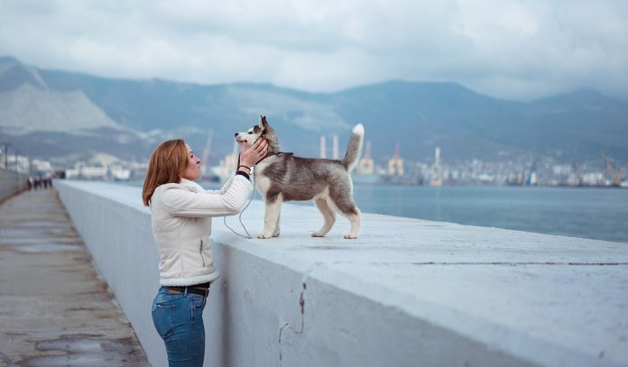 Novos estudos revelam que os humanos amam mais os cães que as pessoas