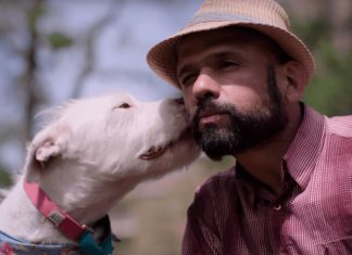 Estréia da Netflix: um documentário sobre a ligação entre as pessoas com seus cães.
