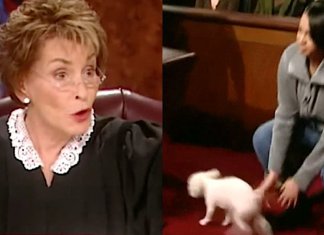 Juíza libera cão em tribunal para que ele mostre quem realmente é seu dono.
