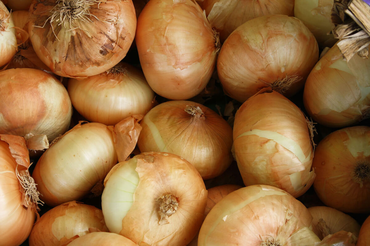asomadetodosafetos.com - Vinagrete faz bem para a saúde: cebola e tomate juntos trazem benefícios em dobro