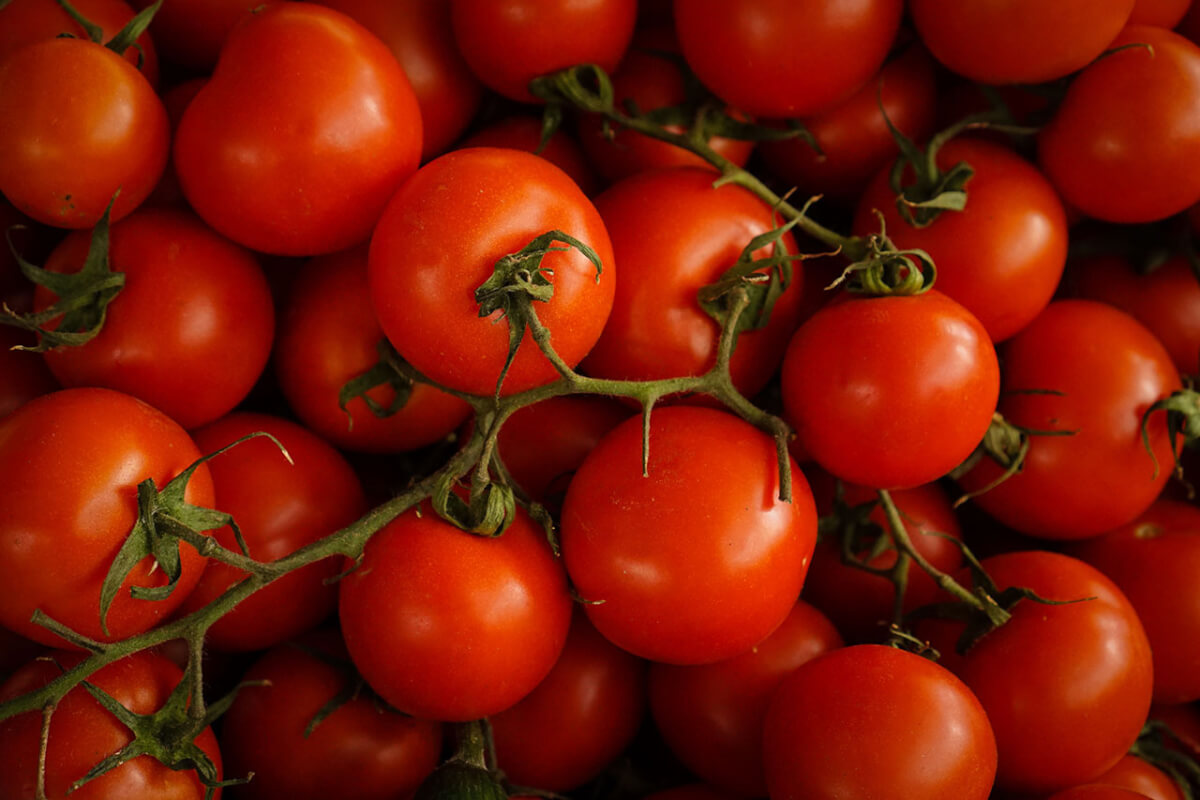 asomadetodosafetos.com - Vinagrete faz bem para a saúde: cebola e tomate juntos trazem benefícios em dobro