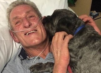 Ele estava em coma e o latido de seu cão fiel o fez acordar. Ele garante que este é seu “anjo”