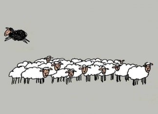 A ovelha negra não é ruim: é apenas diferente