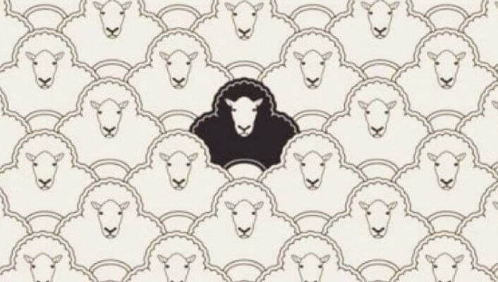 asomadetodosafetos.com - A ovelha negra não é ruim: é apenas diferente