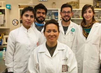 Cientista mexicana consegue curar o papilomavírus humano em 100% das mulheres. Milhares serão salvas!