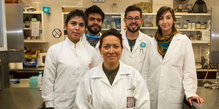 Cientista mexicana consegue curar o papilomavírus humano em 100% das mulheres. Milhares serão salvas!