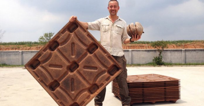 Eles criaram paletes de coco que podem economizar 200 milhões de árvores por ano