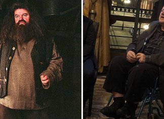 Hagrid de Harry Potter perde a batalha com osteoartrite. O ator foi visto em uma cadeira de rodas