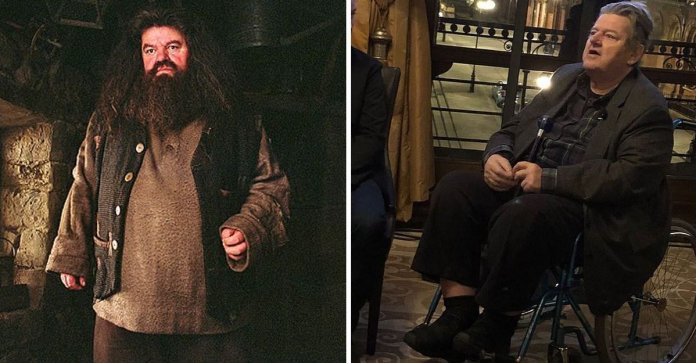 Hagrid de Harry Potter perde a batalha com osteoartrite. O ator foi visto em uma cadeira de rodas