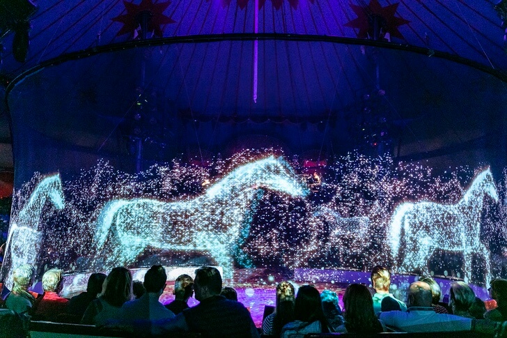 contioutra.com - Circo alemão se recusa a maltratar animais. Eles criaram lindos hologramas para admirá-los