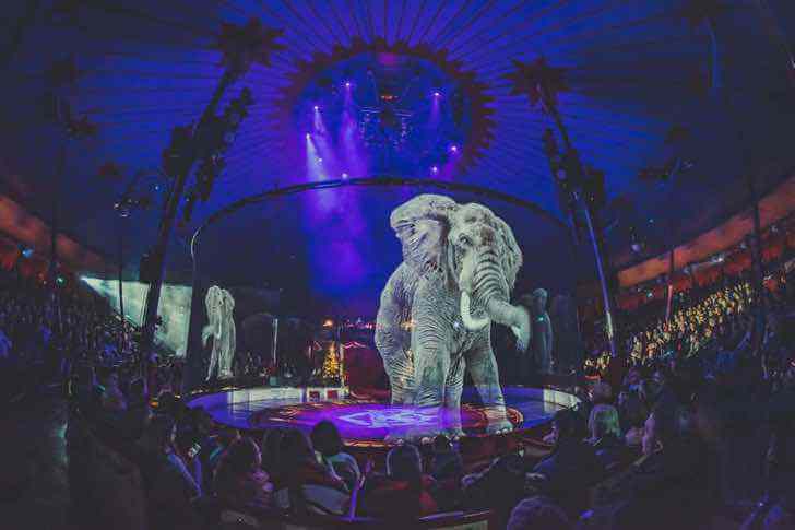 contioutra.com - Circo alemão se recusa a maltratar animais. Eles criaram lindos hologramas para admirá-los