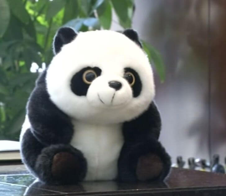 asomadetodosafetos.com - China constrói um painel solar em forma de panda e ajuda a salvar o planeta de uma forma divertida