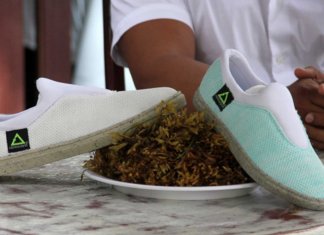 Empresa mexicana criou calçados resistentes à água feitos apenas com materiais recicláveis