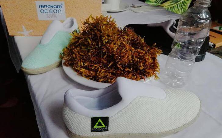 asomadetodosafetos.com - Empresa mexicana criou calçados resistentes à água feitos apenas com materiais recicláveis
