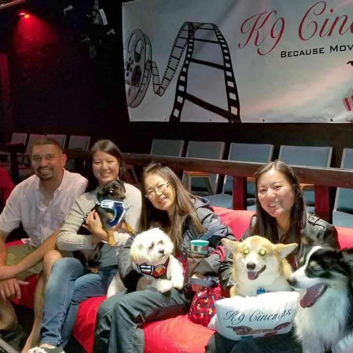 contioutra.com - Neste cinema você pode levar seu cachorro e o ingresso também inclui vinho ilimitado