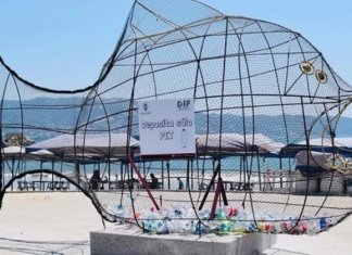 Artista instala latas de lixo em forma de peixes gigantes em praias no México. Quer aumentar a conscientização