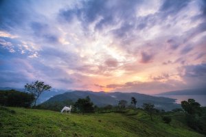 asomadetodosafetos.com - Costa Rica quer se tornar o primeiro país livre de plástico e carbono