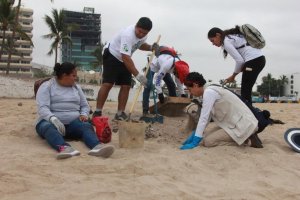 asomadetodosafetos.com - Eles encontraram sacolas plásticas dos anos 90 limpando uma praia no México. Elas ainda não chegaram perto de degradar