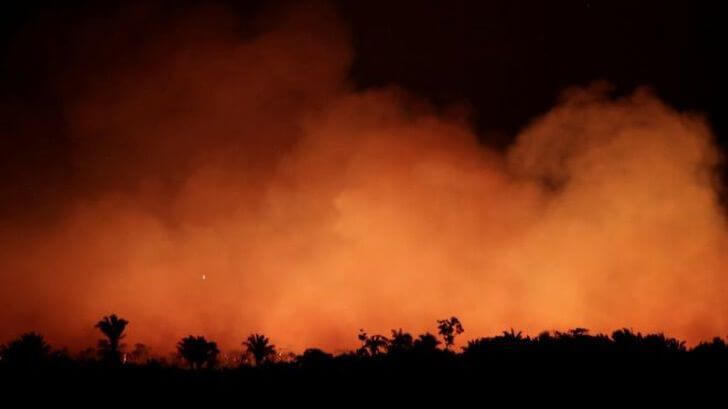 asomadetodosafetos.com - Amazônia pode levar 200 anos para se recuperar dos recentes incêndios