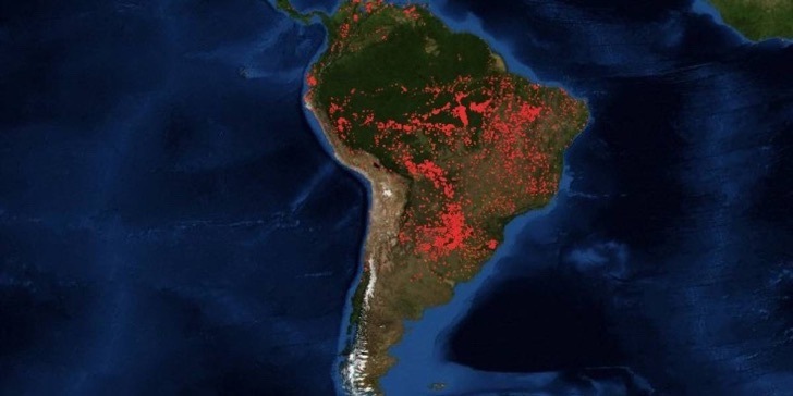 asomadetodosafetos.com - Amazônia pode levar 200 anos para se recuperar dos recentes incêndios