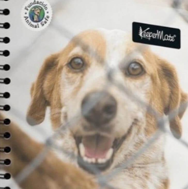 asomadetodosafetos.com - Colômbia colocará fotos cães de abrigo nas capas dos cadernos
