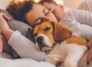 Estudo confirma: dormir com o seu cão reduz o estresse e a pressão sanguínea