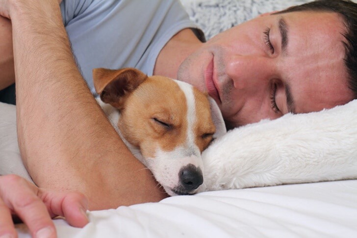 asomadetodosafetos.com - Estudo confirma: dormir com o seu cão reduz o estresse e a pressão sanguínea