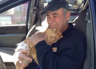 Esse senhor alimenta os gatinhos do seu bairro há 22 anos. É um compromisso de amor!