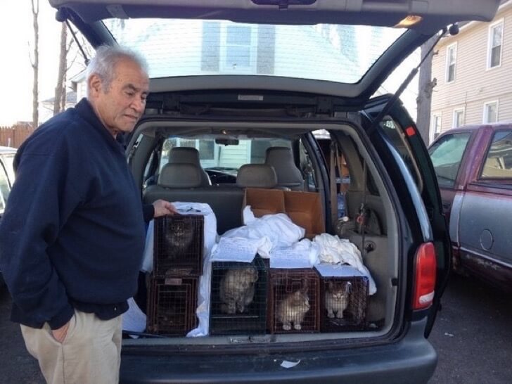 asomadetodosafetos.com - Esse senhor alimenta os gatinhos do seu bairro há 22 anos. É um compromisso de amor!