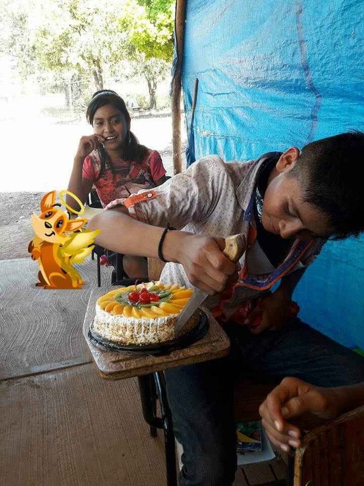 asomadetodosafetos.com - Menino chora quando professora lhe dá o primeiro bolo de aniversário da sua vida