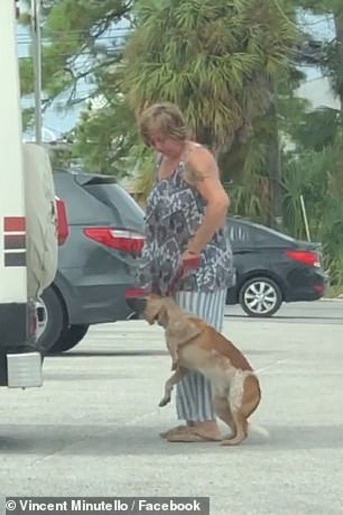 asomadetodosafetos.com - Mulher encurtou a coleira para estrangular e chutar seu cachorro é presa e pagará pelo crime