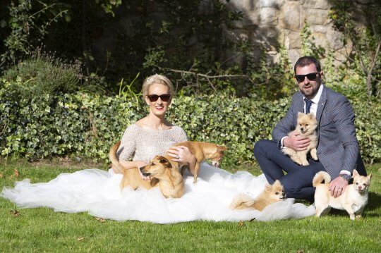 asomadetodosafetos.com - Noiva faz casamento com a presença dos oito cães com deficiência que resgatou
