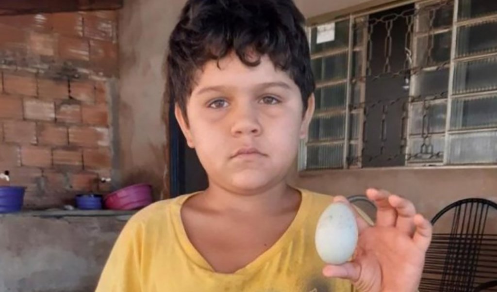 asomadetodosafetos.com - Sem ter o que comer, menino doa ovo para ajudar abrigo a arrecadar 4 mil reais