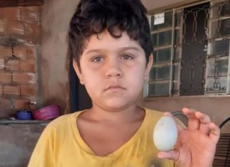 Sem ter o que comer, menino doa ovo para ajudar abrigo a arrecadar 4 mil reais