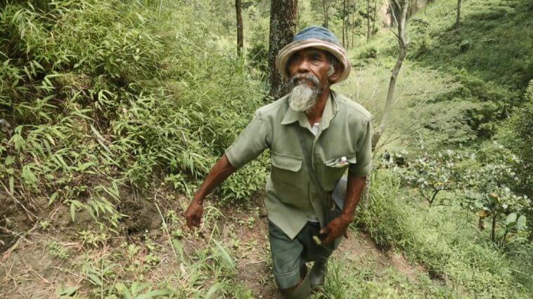 asomadetodosafetos.com - Sozinho, ele plantou 11 mil árvores para reparar os estragos da seca