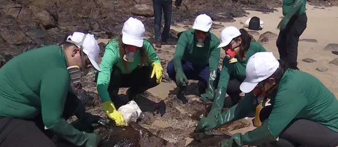Biogel que limpa pedras atingidas por óleo é testada em praia de Recife