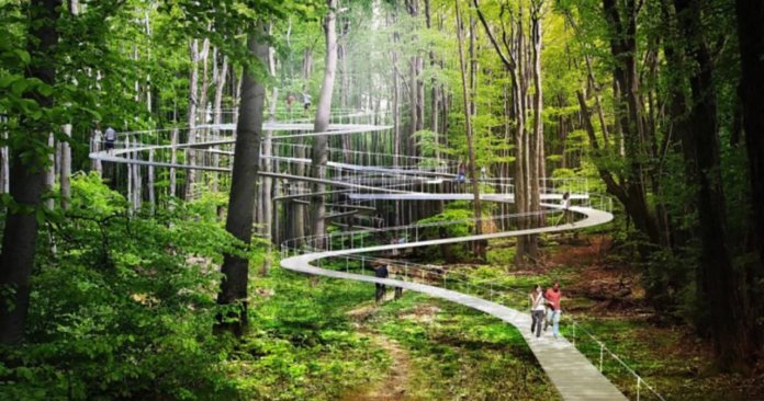 Istambul criará um parque para caminhar na altura das árvores