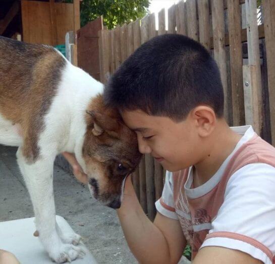 asomadetodosafetos.com - Menino que usou economias para alimentar cães de rua consegue o próprio abrigo