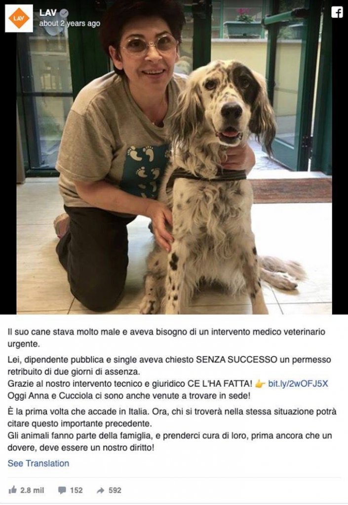asomadetodosafetos.com - Mulher ganha permissão do trabalho para faltar ao trabalho e cuidar de seu cachorro doente