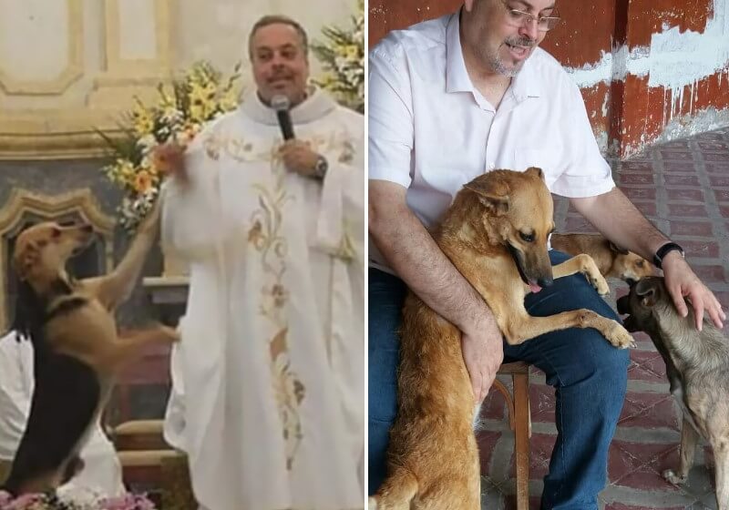 asomadetodosafetos.com - Padre promove adoção de animais abandonados ao levá-los para a missa