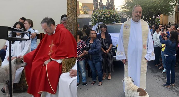 Padre promove adoção de animais abandonados ao levá-los para a missa