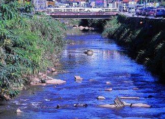 Rio Jundiaí volta a ter peixes após 30 anos como resultado da sua despoluição