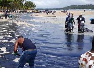 Voluntários se reúnem para limpar Praia dos Carneiros, atingida por óleo: assista o vídeo